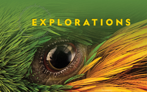 Explorations