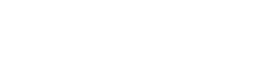 PLAY  LEARN  MAKE  CONNECT 