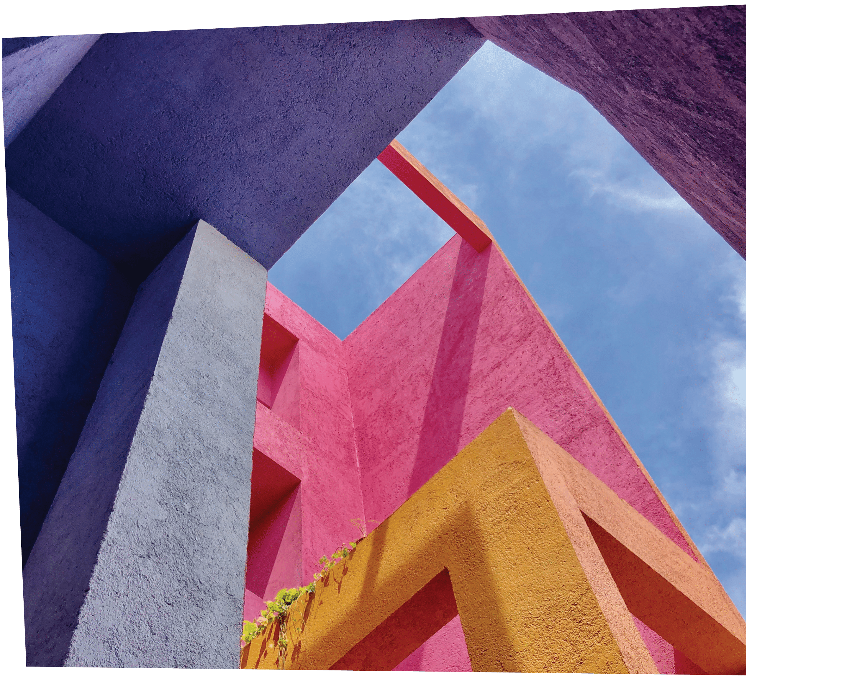Polygon