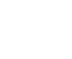 81