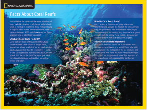 Rectangle