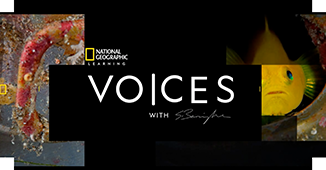 Voices, Sean Bermingham - Executive Editor