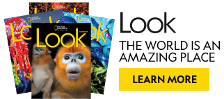 The world is an amazing place, learn more about Look